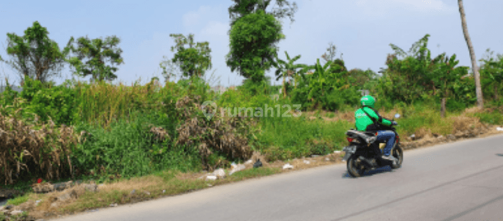 Dijual Cepat 
Tanah kosong,Padat,Keras
Di babelan 
Bekasi ,Harga Nego 1