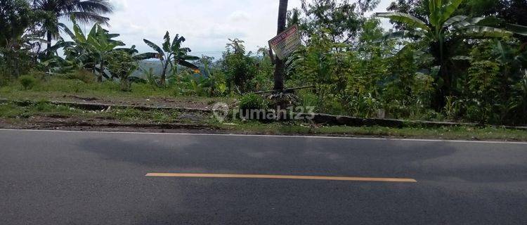 Dijual kavling pinggir jalan di bojonggaling pelabuhan ratu kecamatan bantargadung  suka bumi jawa barat 1