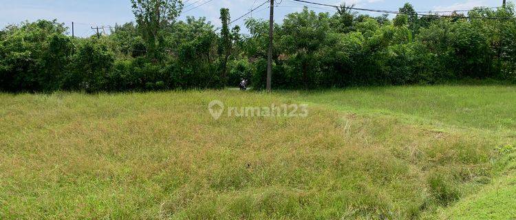  Tanah Freehold  SHM - Sertifikat Hak Milik 1.75 HA  di LC Perancak, Perancak 1