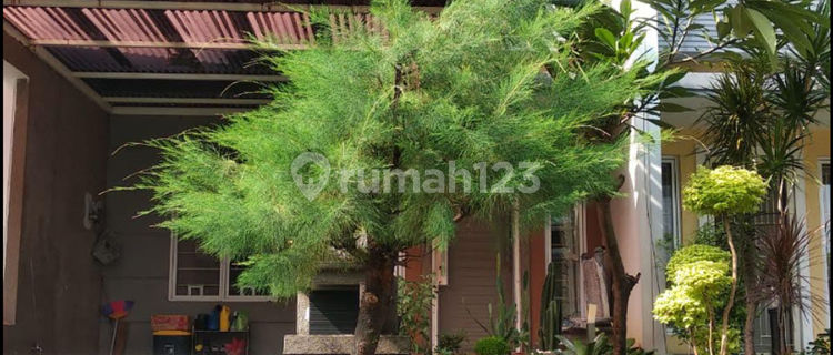 Rumah SHM 7 Menit ke Summarecon Mall Kelapa Gading Hadap Utara J28261 1