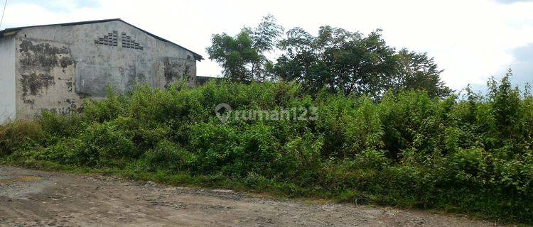 Disewakan Tanah Zona Industri 1 Hektar Lokasi Grogol Sukoharjo 1