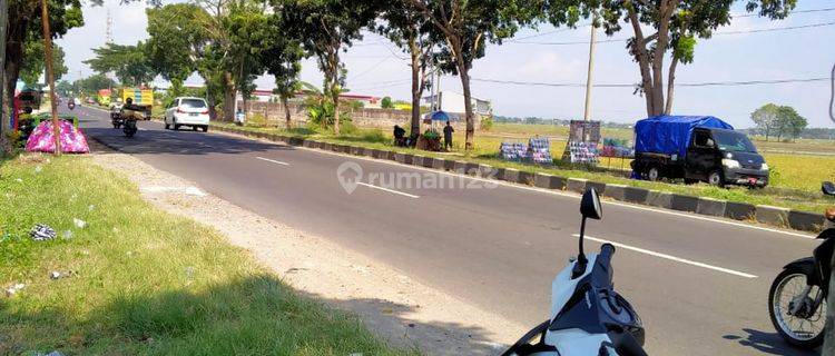 Disewakan Tanah 11 Hektar Mangku Jalan Solo Sukoharjo 1