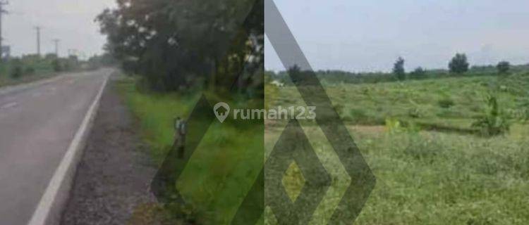 Dijual lahan industri lokasi Indramayu Sumedang sangat strategis Luas 15 Ha BU! 1