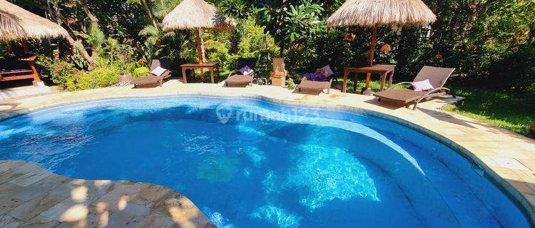 Commercial For Sale, Great Eco friendly Green Environment Boutique Hotel For Sale, Buleleng, Bali 1