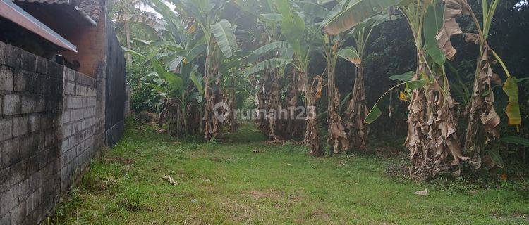 Land 3,9 Are For Sale In Kaliasem Buleleng  1