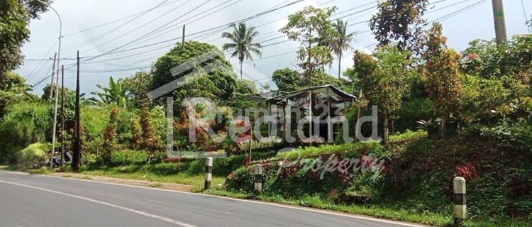 Land in Jetis, Jambor Village, Bandungan (SI 3874) 1