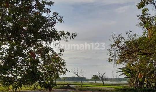 Tanah Siap Bangun Dekat Pintu Tol Harga Ekonomis Tanpa Bunga 1
