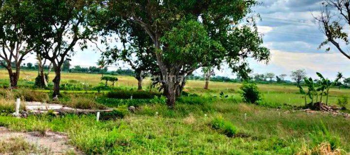 Tanah Bekasi Tanpa Dp Lokasi Strategis Dekat Pintu Tol 1
