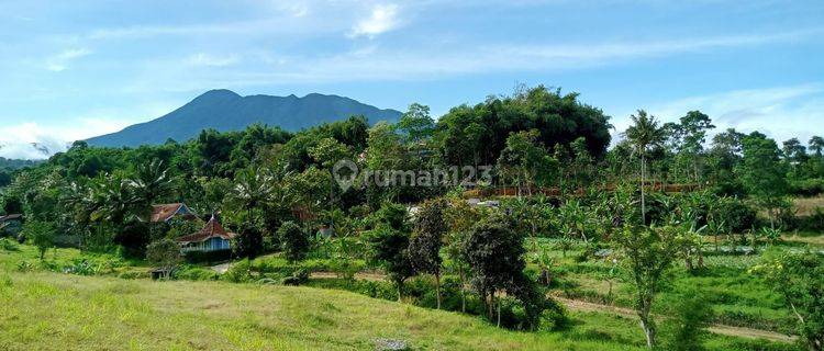 Dijual tanah di daerah jalur alternatif puncak bogor 1