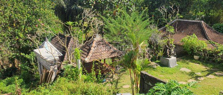 Tanah view sungai dan sawah di badung 1