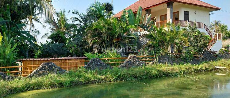 2nd floor villa with rice field view near public facilities 1