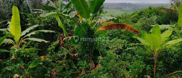 Tanah View Laut Di Desa Wisata Tengenan  1