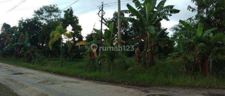 Tanah di Nalumsari, Kabupaten Kudus 2.927 m² 1