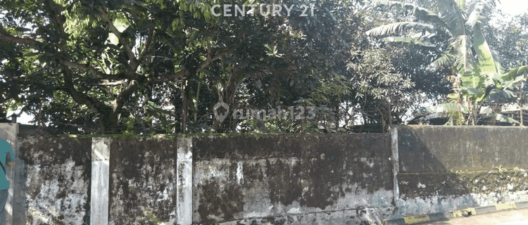 Tanah Kosong Jual Di Jl SMP Cilimus Bojong Kuningan  1