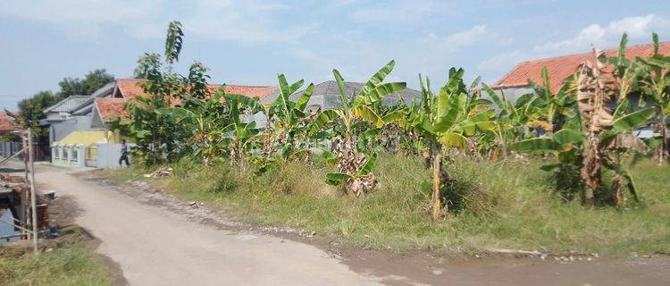 Tanah Murah Belakang CSB 1