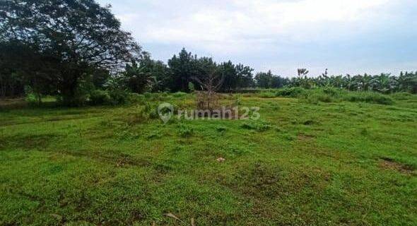 Tanah Lahan Luas dekat Jalan Raya kabupaten Bojonegoro Jawa Timur 1