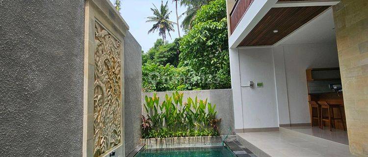 New Villa For Leased 1