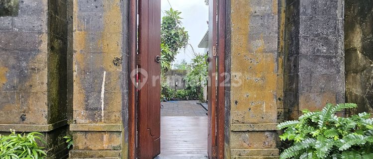 For Rent Minimalist Villa / For Lease Villa 1