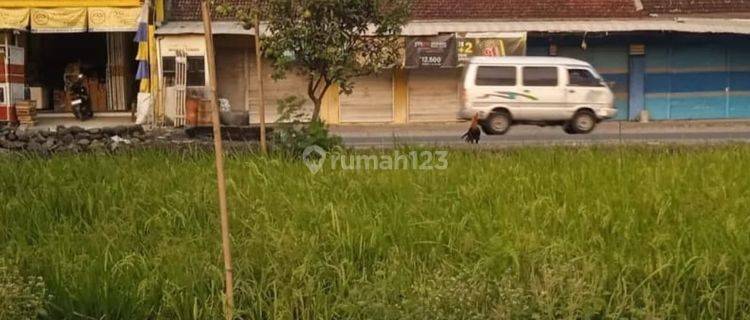 Tanah Persegi Strategis di Jalan Raya Provinsi 1