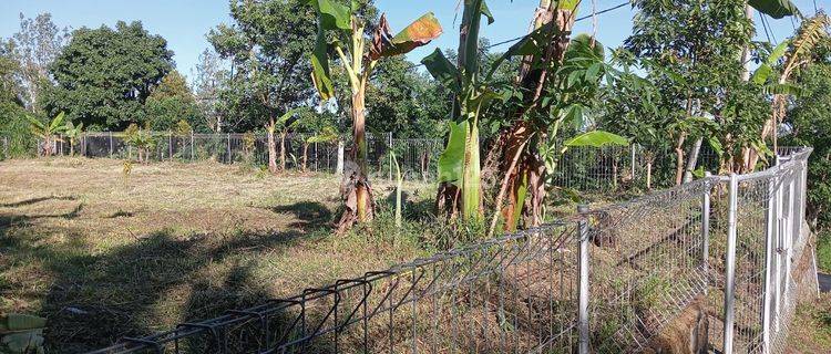 Dijual Tanah Shm Murah 760 M2 Di Wanagiri Buleleng Bali 1