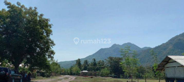 Beachfront Land For Sale 5,3 Hectares in Pantai Golomori  Labuan Bajo 1