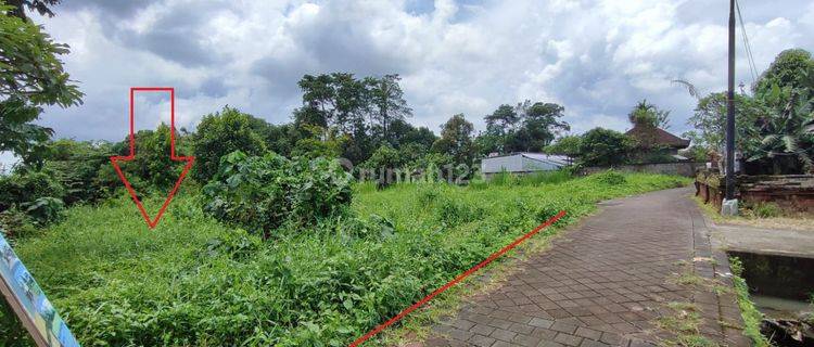 Dijual Tanah Kavling Murah 150 m2 Desa Baha, Mengwi Badung Bali 1