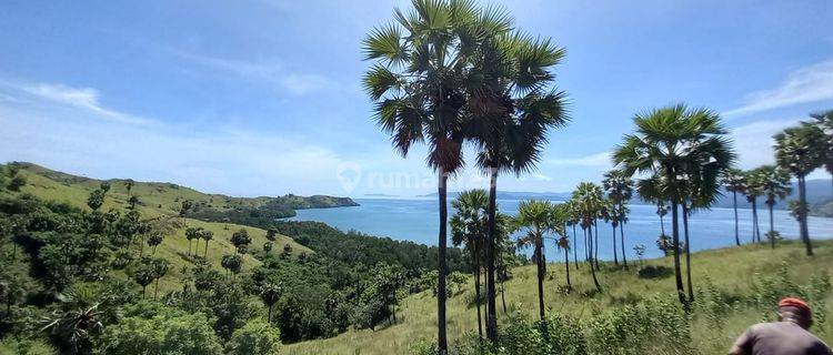 Dijual Tanah Shm 1,9 Ha View Sunrise Dan Teluk Waecicu Labuan Bajo 1