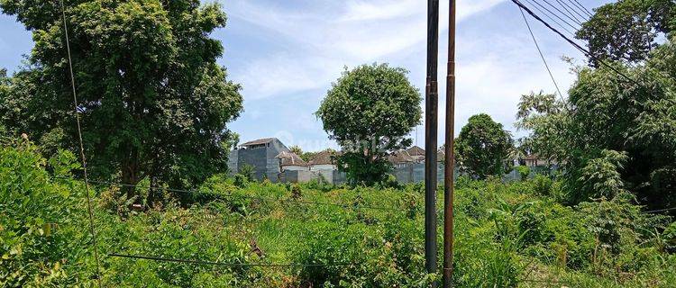 Dijual Tanah Shm 6.960 M2 Di Bawah Njop Di Mumbul Dusa Dua Bali 1