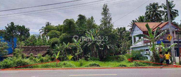 Tanah di Jl. Nasional (jogja purworejo) dekat Bandara YIA cocok untuk usaha 1