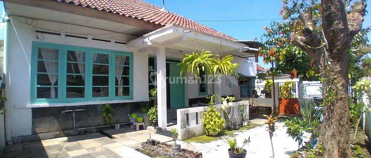 Disewakan Rumah Classic Cocok Untuk Homestay Dan Kantor Dekat Kraton 1