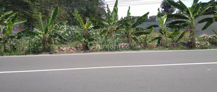 Tanah Disewakan  JL. Gito Gati Sleman Cocok Untuk Cafe  1