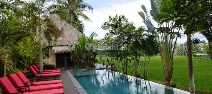 Boutique villa Complex for sale with gorgeous view of the rice fields in Lodtunduh ubud, bali 1