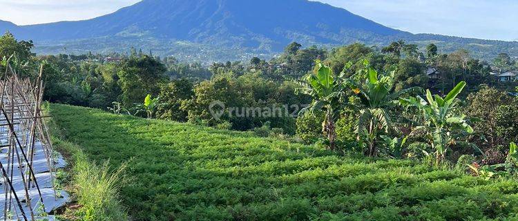 Dijual Tanah di Cisarua Puncak Bogor 200 m² SHM Siap bangun 1