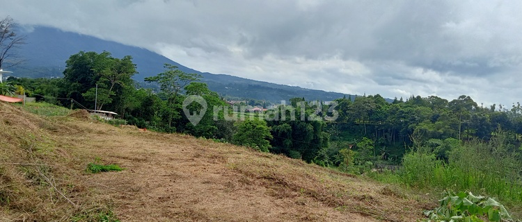 Di jual cepat tanah siap bangun jalan alternatif taman safari  1