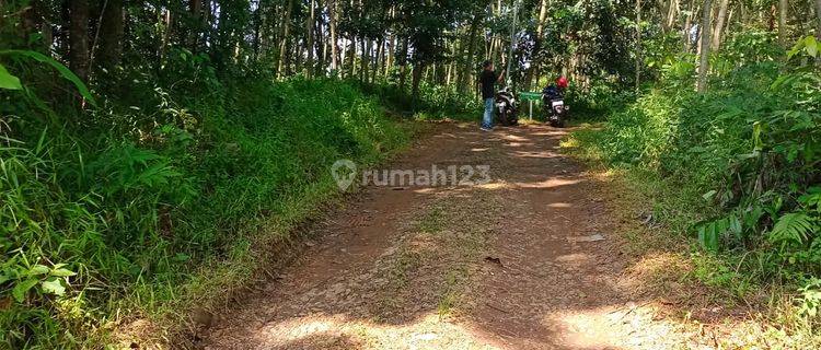 Di jual cepat tanah kebun durian SHM ready nempel pondok pesantren 1