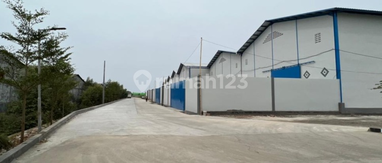 Gudang baru pantai indah Dadap  1