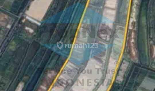 Dijual Tanah Tambak Bung Tomo Pakal 1