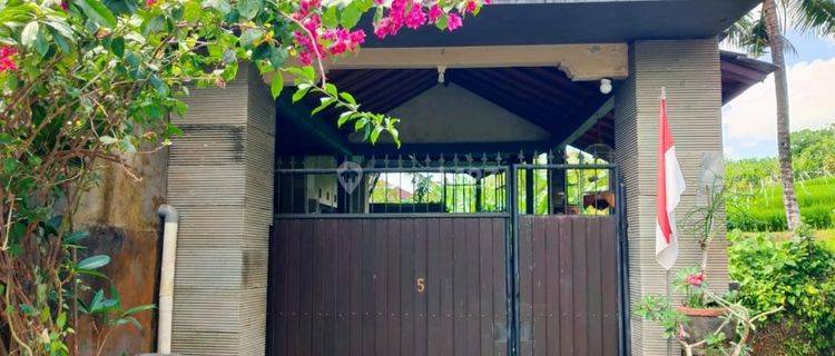 Dijual Rumah 2 Lantai Siap Huni View Sawah Di Badung Bali 1