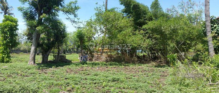 LAND For sale View ocean at tourism bussines area 1