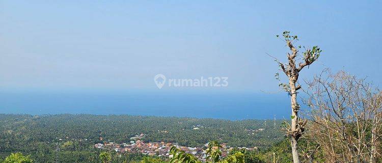 View Ocean From The Hill And Jungle In Quet Area 1