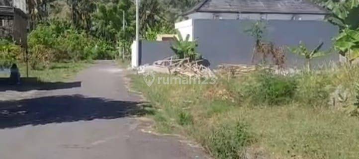 Land Leasehold In Lovina  1