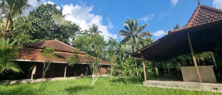 Freehold Land For Sale Bonus Joglo House In Penebel, Tabanan  1