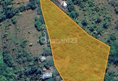 Freehold Land For Sale di Buleleng Dekat Lovina 1