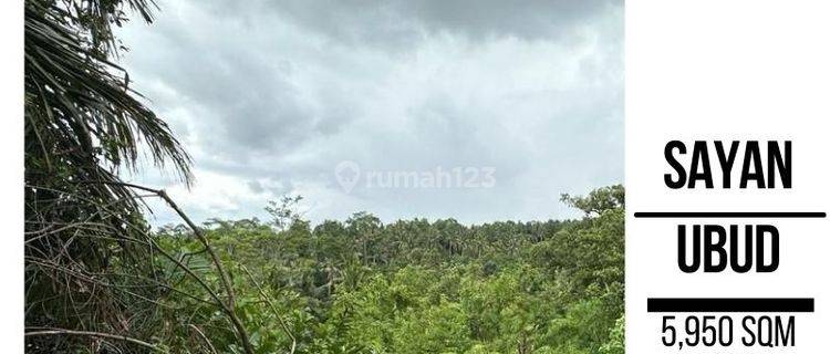 Land in Sayan, Gianyar SHM 5,950 m² 1