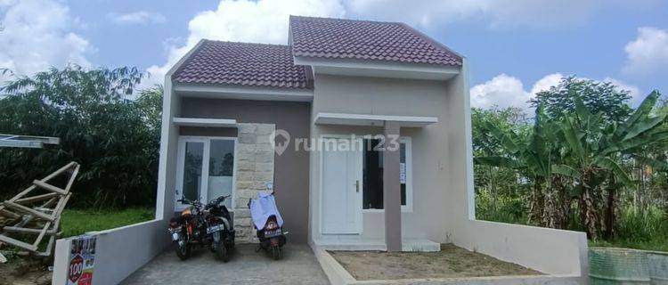 Bonus Sofa Rumah Murah Dekat Pasar Tumpang Hanya 200jt 1