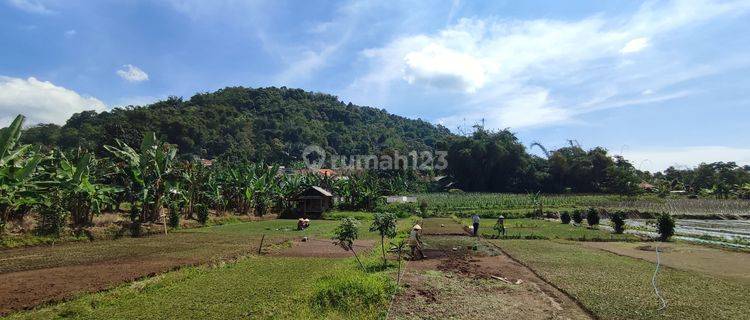 Tanah kebun strategis lokasi di Ciater dekat area villa dan tempat wisata  1