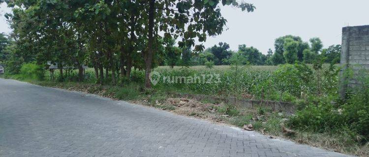 Tanah 4960 M2 di Desa Tlogosadang Paciran Lamongan Gmk02773 1