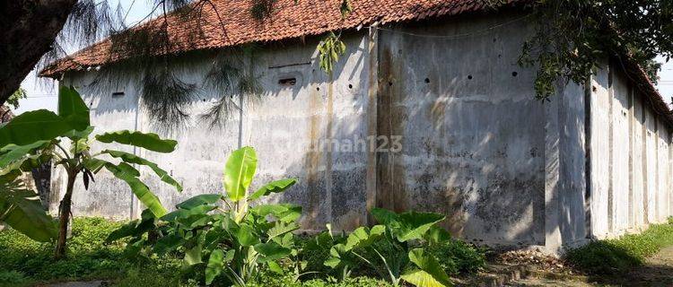 Rumah Walet Strategis Di Lespadangan Mojokerto Gmk02426 1