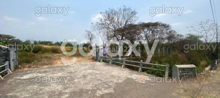 Tanah Strategis Dekat Exit Tol Purwodadi Pasuruan  GMK03049 1