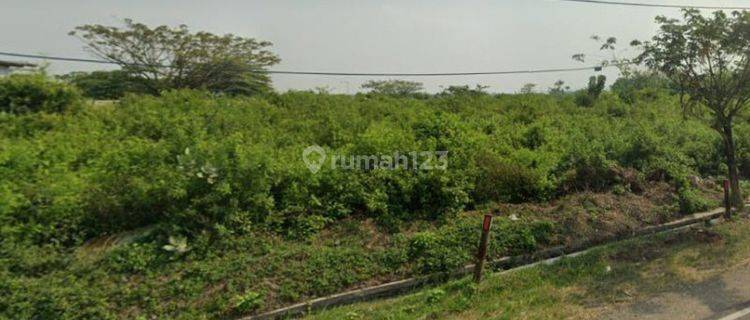 Tanah Murah Strategis di Jalan Nasional Widang Tuban Gmk02102 1